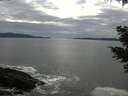 ./images/koeye/fitz-hugh/20210505/fitz-hugh20210505_160001.jpg