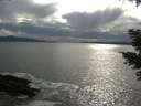 ./images/koeye/fitz-hugh/20210505/fitz-hugh20210505_180001.jpg