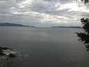./images/koeye/fitz-hugh/20210506/fitz-hugh20210506_080002.jpg