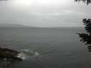 ./images/koeye/fitz-hugh/20210506/fitz-hugh20210506_140002.jpg