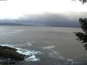 ./images/koeye/fitz-hugh/20210507/fitz-hugh20210507_060001.jpg