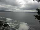 ./images/koeye/fitz-hugh/20210507/fitz-hugh20210507_140002.jpg