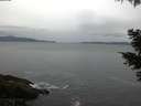./images/koeye/fitz-hugh/20210508/fitz-hugh20210508_060001.jpg
