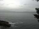 ./images/koeye/fitz-hugh/20210508/fitz-hugh20210508_080002.jpg