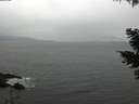 ./images/koeye/fitz-hugh/20210508/fitz-hugh20210508_100002.jpg