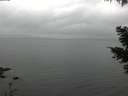 ./images/koeye/fitz-hugh/20210508/fitz-hugh20210508_120001.jpg
