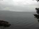 ./images/koeye/fitz-hugh/20210508/fitz-hugh20210508_160002.jpg