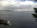 ./images/koeye/fitz-hugh/20210509/fitz-hugh20210509_100002.jpg