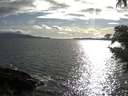 ./images/koeye/fitz-hugh/20210509/fitz-hugh20210509_180001.jpg