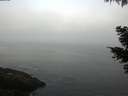 ./images/koeye/fitz-hugh/20210510/fitz-hugh20210510_060001.jpg