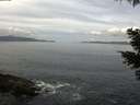 ./images/koeye/fitz-hugh/20210510/fitz-hugh20210510_100001.jpg