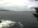 ./images/koeye/fitz-hugh/20210510/fitz-hugh20210510_120002.jpg