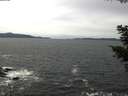 ./images/koeye/fitz-hugh/20210510/fitz-hugh20210510_140002.jpg