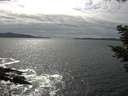 ./images/koeye/fitz-hugh/20210510/fitz-hugh20210510_160001.jpg