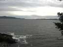 ./images/koeye/fitz-hugh/20210510/fitz-hugh20210510_180002.jpg