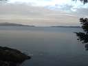./images/koeye/fitz-hugh/20210511/fitz-hugh20210511_060001.jpg