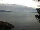 ./images/koeye/fitz-hugh/20210511/fitz-hugh20210511_080002.jpg