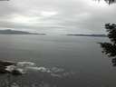 ./images/koeye/fitz-hugh/20210511/fitz-hugh20210511_120001.jpg