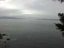 ./images/koeye/fitz-hugh/20210511/fitz-hugh20210511_140002.jpg