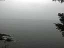 ./images/koeye/fitz-hugh/20210511/fitz-hugh20210511_160002.jpg