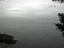 ./images/koeye/fitz-hugh/20210511/fitz-hugh20210511_180001.jpg