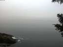 ./images/koeye/fitz-hugh/20210512/fitz-hugh20210512_060001.jpg