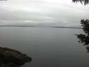 ./images/koeye/fitz-hugh/20210512/fitz-hugh20210512_080001.jpg