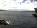 ./images/koeye/fitz-hugh/20210512/fitz-hugh20210512_120001.jpg