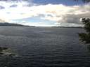./images/koeye/fitz-hugh/20210512/fitz-hugh20210512_140002.jpg