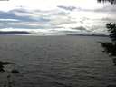 ./images/koeye/fitz-hugh/20210512/fitz-hugh20210512_160002.jpg