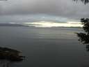 ./images/koeye/fitz-hugh/20210513/fitz-hugh20210513_060002.jpg
