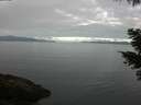 ./images/koeye/fitz-hugh/20210513/fitz-hugh20210513_080001.jpg