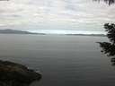 ./images/koeye/fitz-hugh/20210513/fitz-hugh20210513_100002.jpg