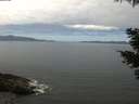 ./images/koeye/fitz-hugh/20210513/fitz-hugh20210513_120001.jpg