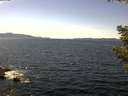 ./images/koeye/fitz-hugh/20210513/fitz-hugh20210513_140001.jpg