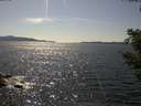 ./images/koeye/fitz-hugh/20210513/fitz-hugh20210513_160002.jpg