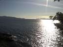 ./images/koeye/fitz-hugh/20210513/fitz-hugh20210513_180002.jpg