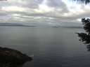 ./images/koeye/fitz-hugh/20210514/fitz-hugh20210514_080001.jpg
