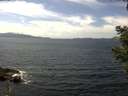 ./images/koeye/fitz-hugh/20210514/fitz-hugh20210514_140001.jpg