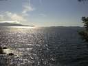 ./images/koeye/fitz-hugh/20210514/fitz-hugh20210514_160001.jpg