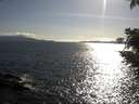 ./images/koeye/fitz-hugh/20210514/fitz-hugh20210514_180002.jpg