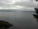 ./images/koeye/fitz-hugh/20210515/fitz-hugh20210515_080002.jpg