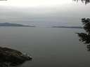 ./images/koeye/fitz-hugh/20210515/fitz-hugh20210515_120002.jpg