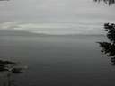 ./images/koeye/fitz-hugh/20210515/fitz-hugh20210515_160001.jpg