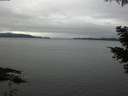 ./images/koeye/fitz-hugh/20210515/fitz-hugh20210515_180002.jpg