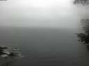 ./images/koeye/fitz-hugh/20210516/fitz-hugh20210516_060001.jpg