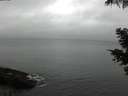 ./images/koeye/fitz-hugh/20210516/fitz-hugh20210516_080002.jpg