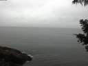 ./images/koeye/fitz-hugh/20210516/fitz-hugh20210516_100001.jpg
