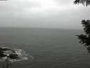 ./images/koeye/fitz-hugh/20210516/fitz-hugh20210516_160001.jpg