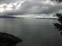 ./images/koeye/fitz-hugh/20210517/fitz-hugh20210517_120001.jpg